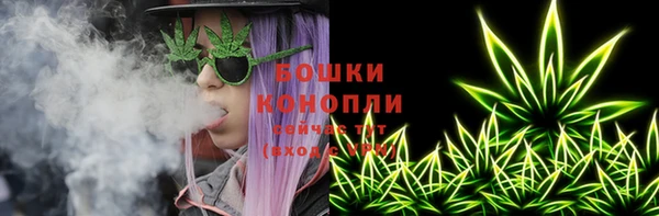 стафф Няндома