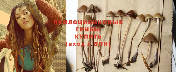 СК Нягань