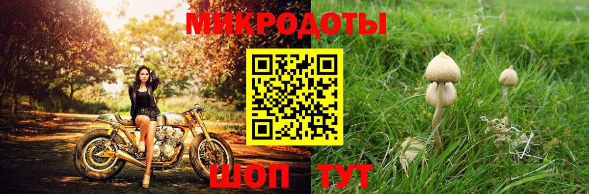 Псилоцибиновые грибы GOLDEN TEACHER Кингисепп