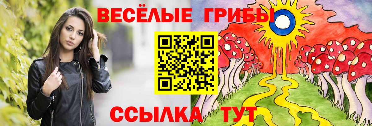 Галлюциногенные грибы Psilocybe  Галлюциногенные грибы Cubensis  Кингисепп 