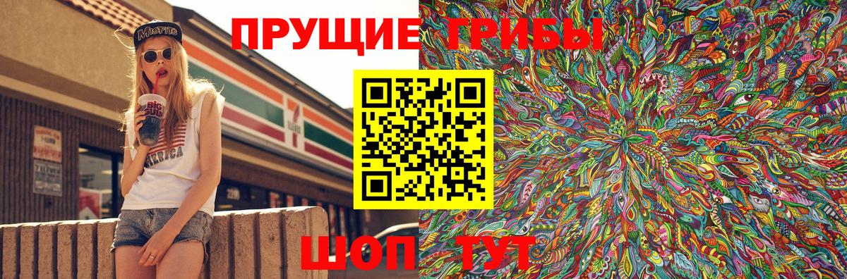 Кингисепп  Псилоцибиновые грибы прущие грибы  Вход с VPN 