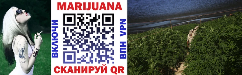 блэк спрут ССЫЛКА  Кингисепп  Шишки марихуана THC 21% 